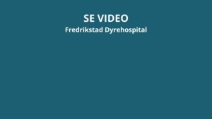Fredrikstad Dyrehospital