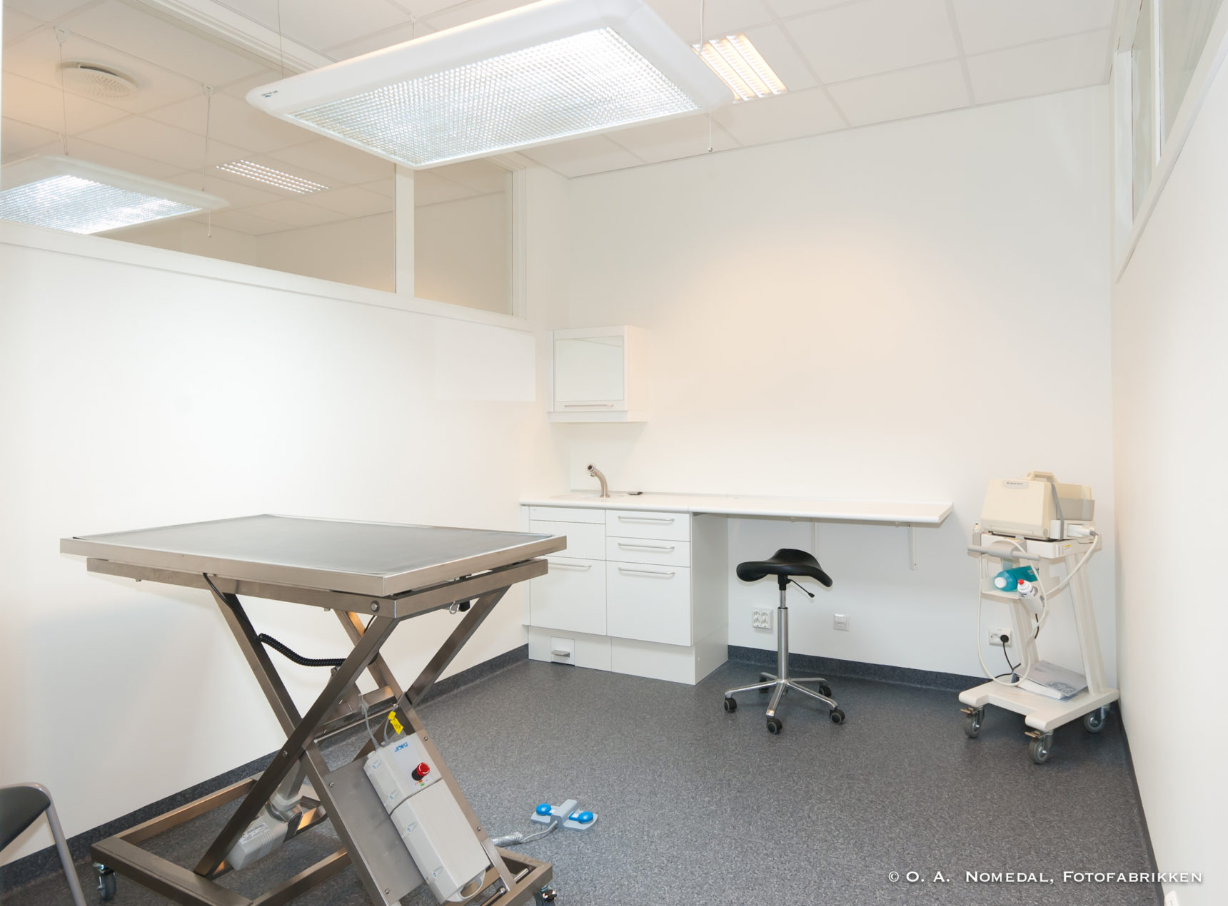 Read more about the article Bilder fra veterinaer klinikker