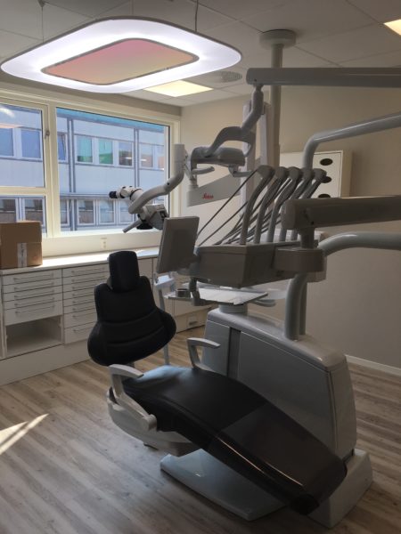 IMG_4530-e1570531443531-450x600