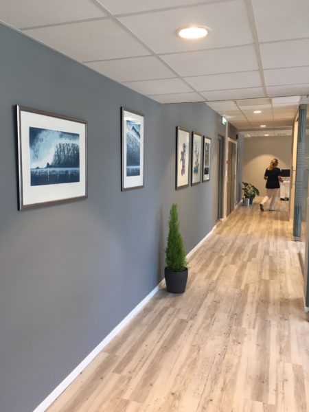 IMG_4536-e1570531301488-450x600