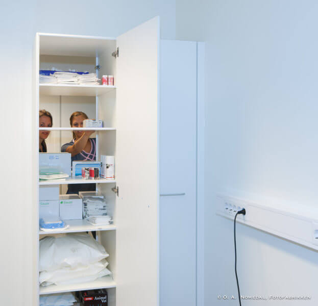 Mandal-Dyreklinikk-14-623x600