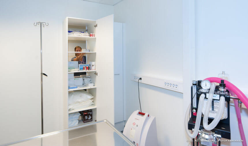 Mandal-Dyreklinikk-15-860x508