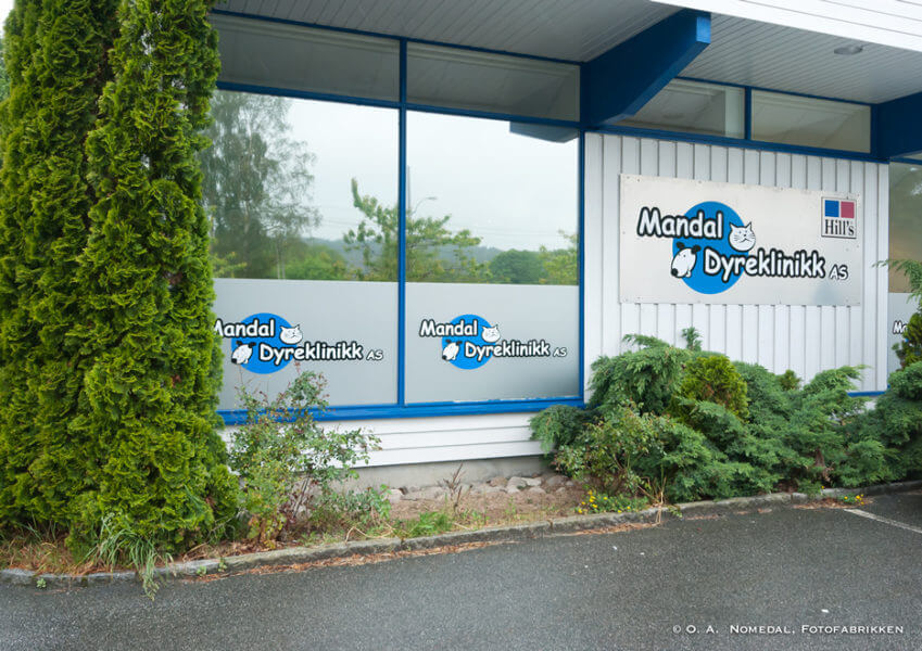 Mandal-Dyreklinikk-22-849x600