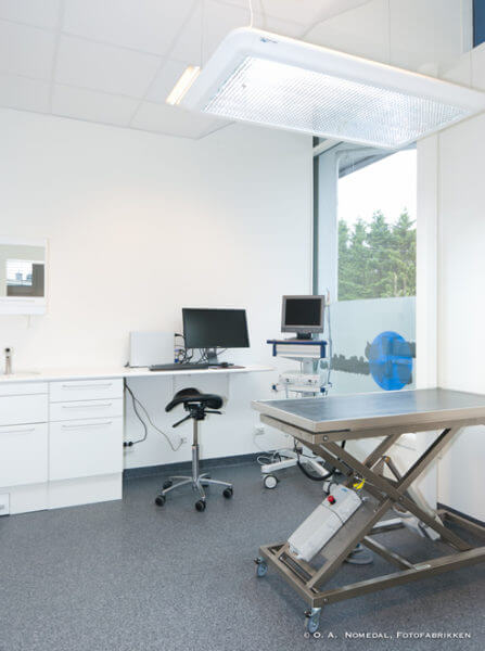 Mandal-Dyreklinikk-3-447x600