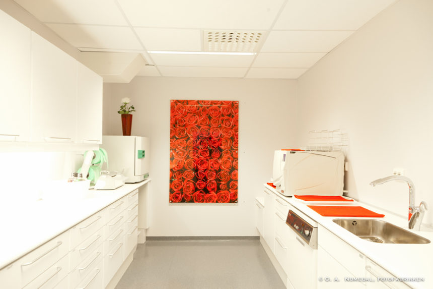 Nordmo-Tannlegesenter-108-860x573