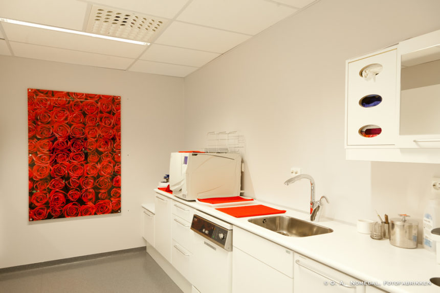 Nordmo-Tannlegesenter-109-860x573