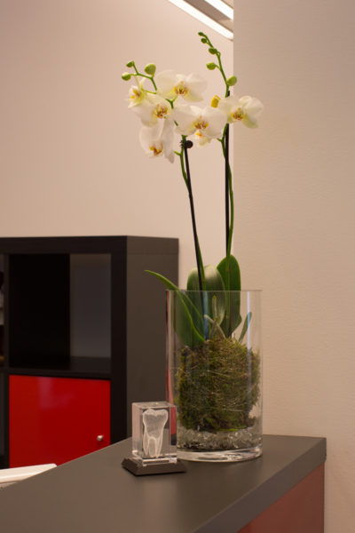 Vigeland-TK-6-400x600