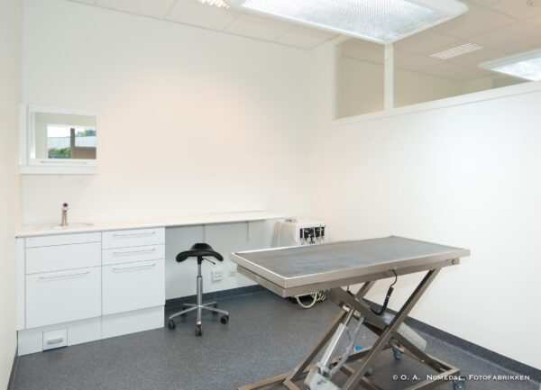 Veterinærer - Bilde 3