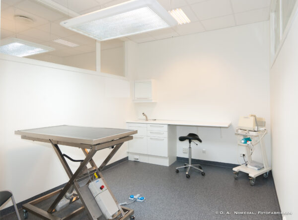Veterinærer - Bilde 5