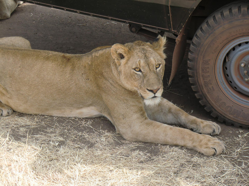 4-studenter-2012-4-799x600