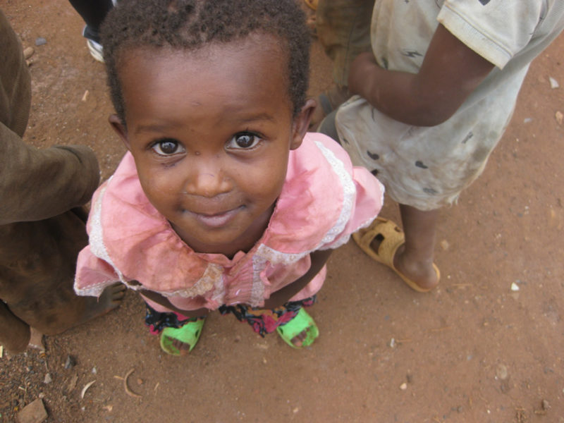 Blindheim-2011-6-800x600