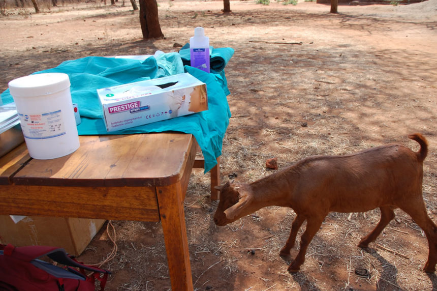 Boman-2011-15-860x572