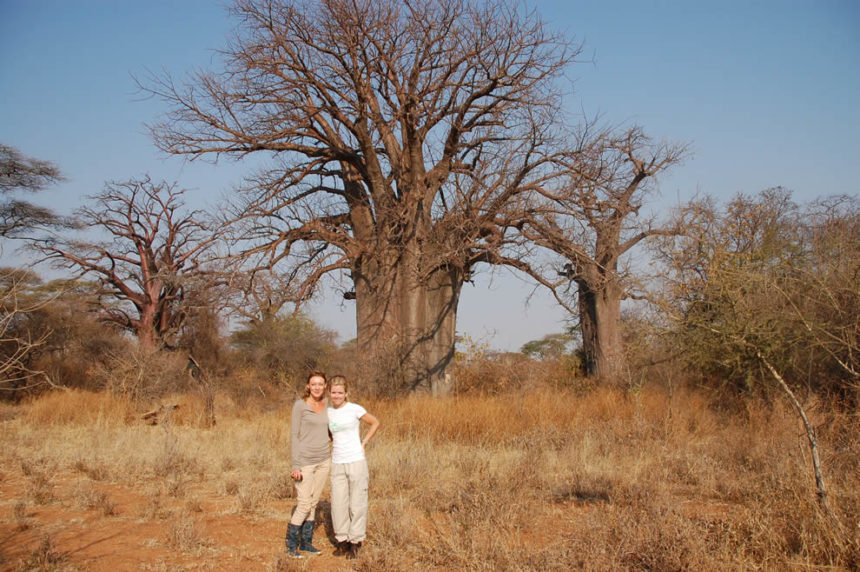 Boman-2011-7-860x572