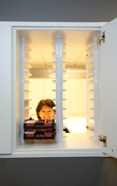 Fornebu-Tannklink-4-377x600