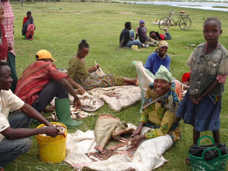 Grønnli-2009-1-1-800x600