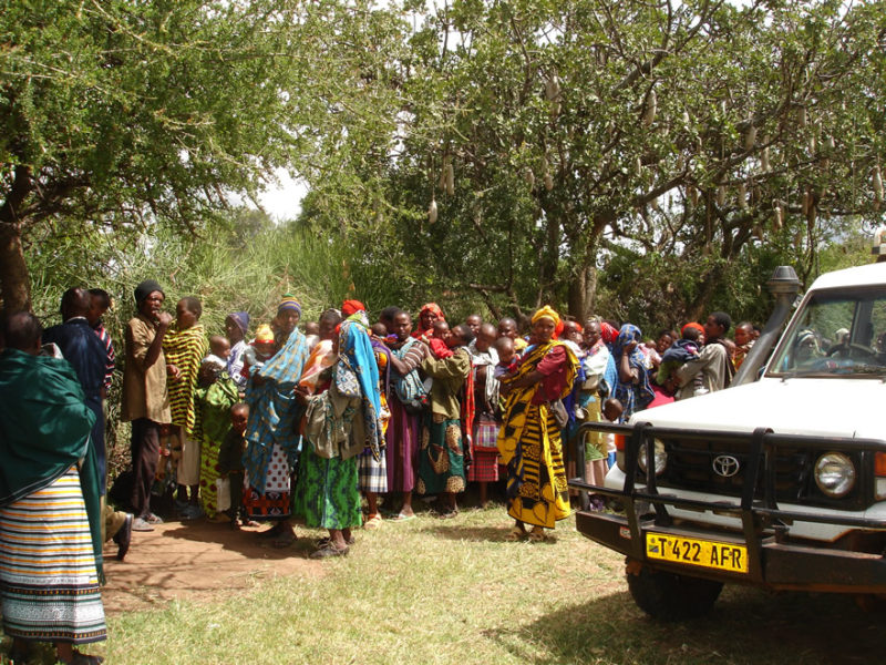 Grønnli-2009-3-1-800x600