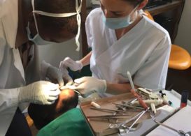 Read more about the article Ingveig E. Haslemo 2016