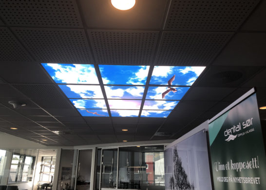 Read more about the article LED-paneler: Slik skifter du