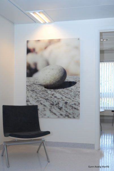 Kompetansesenter-Sør-9-402x600