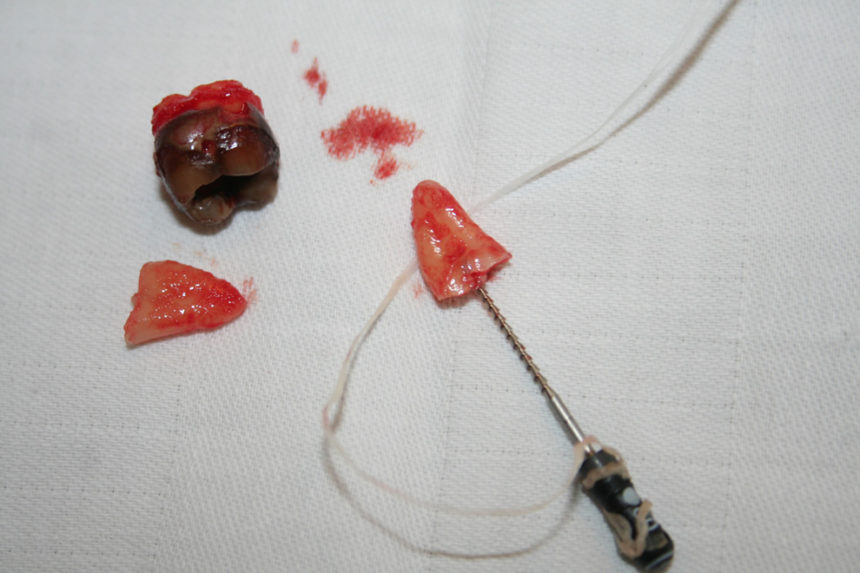 Kongsnes-2011-12-860x573