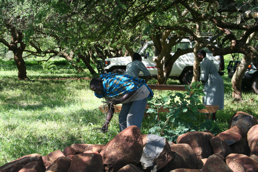 Kongsnes-2011-13-860x573