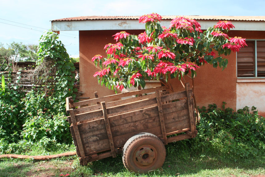 Kongsnes-2011-27-860x573