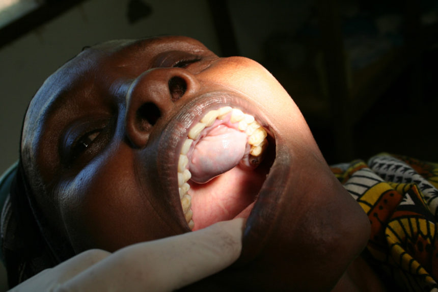 Kongsnes-2011-31-860x573