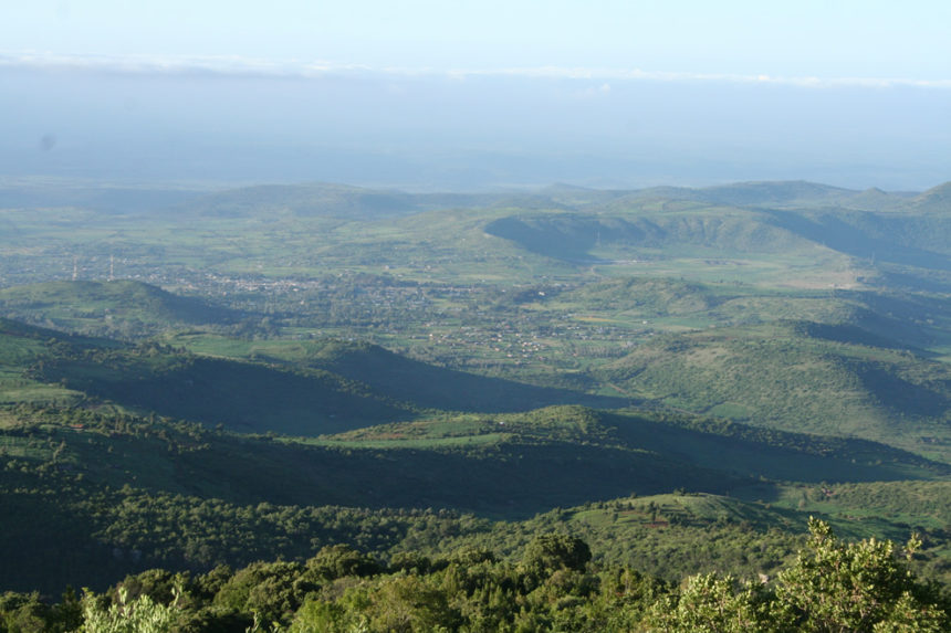 Kongsnes-2011-38-860x573