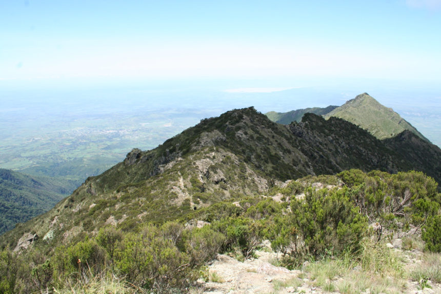 Kongsnes-2011-41-860x573