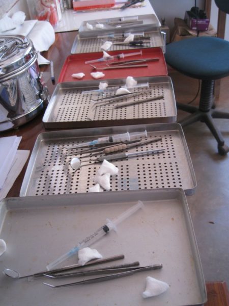 Møller-2010-8-450x600