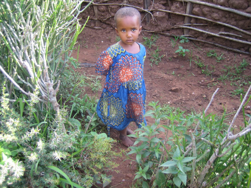 Olstad-2008-49-800x600