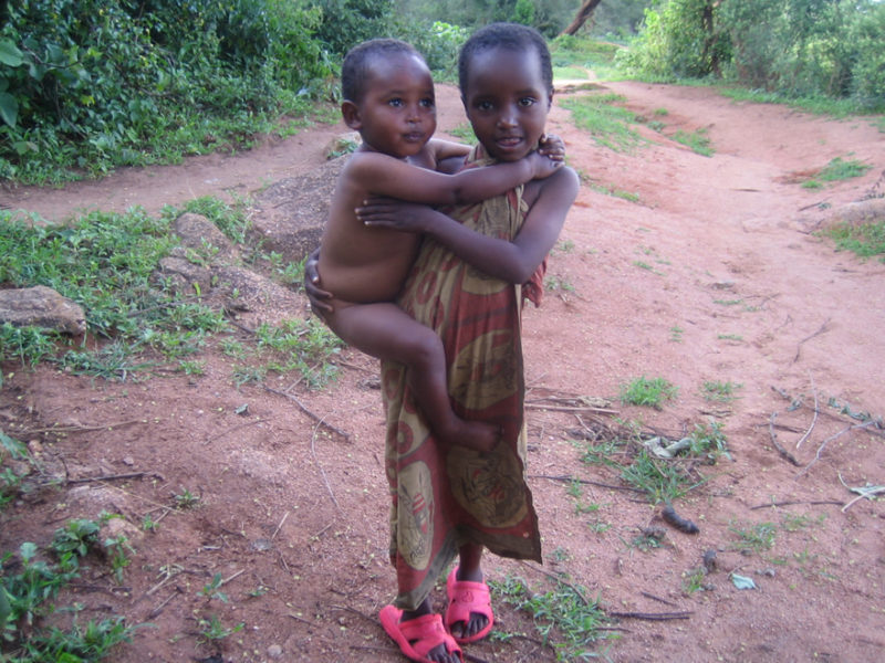 Olstad-2008-50-800x600