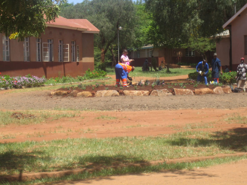 Olstad-2008-59-800x600