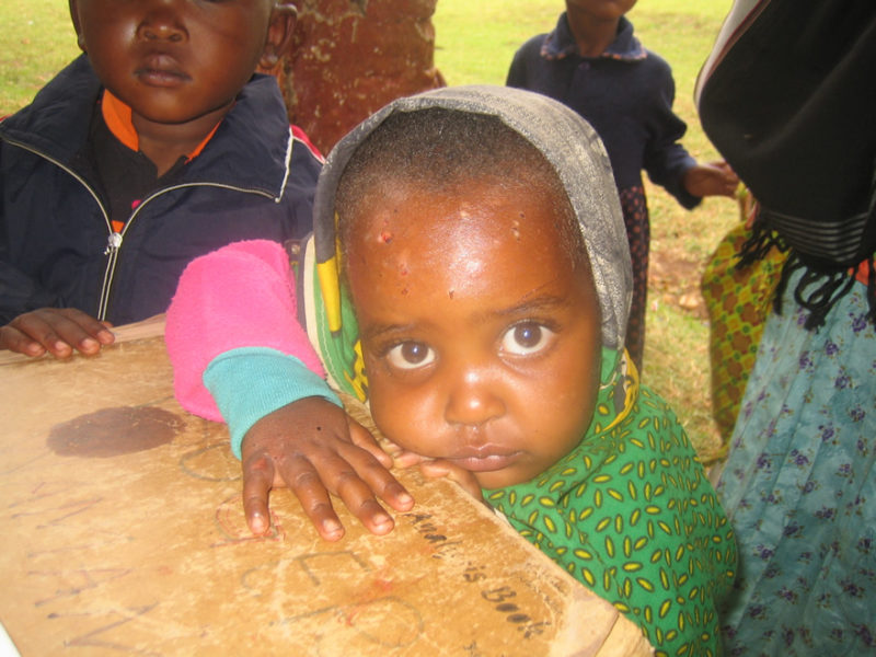 Olstad-2008-76-800x600