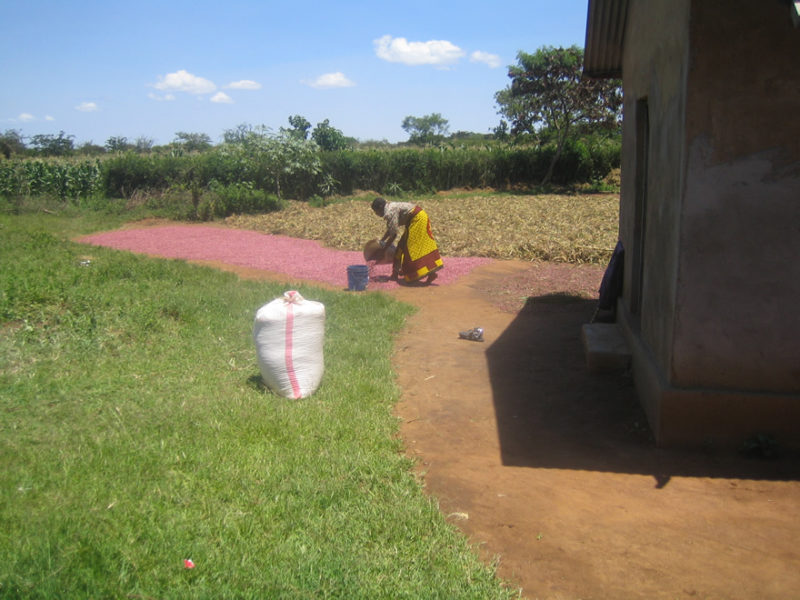 Olstad-2008-77-800x600