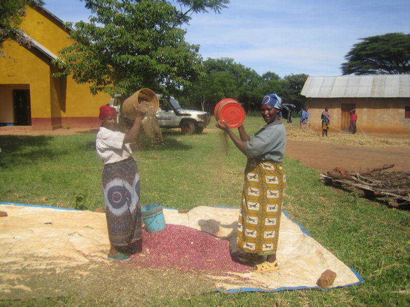 Olstad-2008-88-800x600