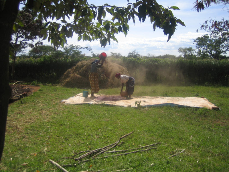 Olstad-2008-89-800x600