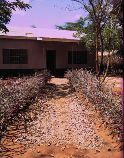 Schneider-2010-7-471x600