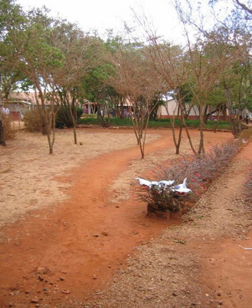 Schneider-2010-8-491x600