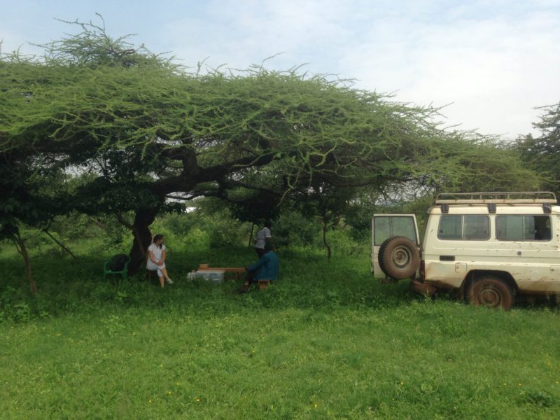 Soleng-og-Sletten-3-800x600