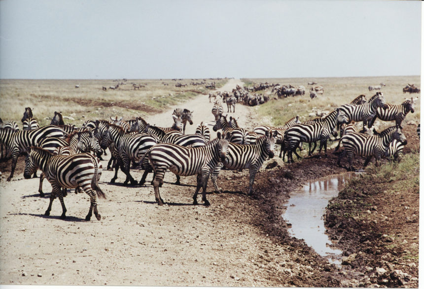 Thomassen-2000-10-860x586