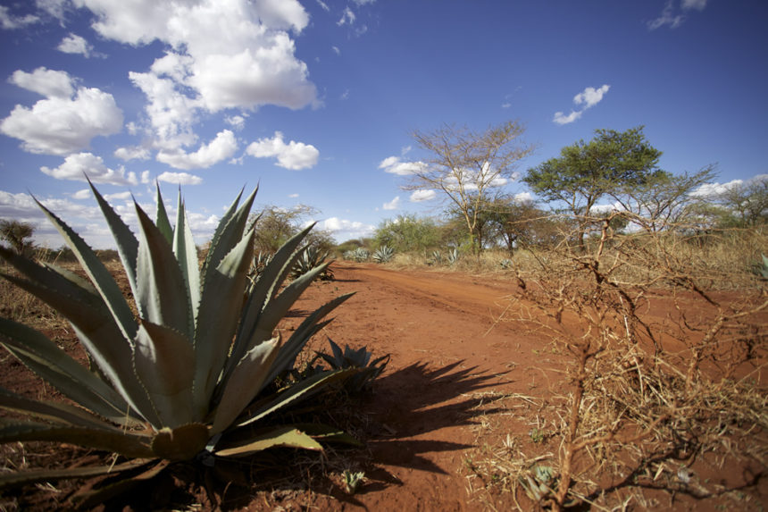 Tregde-og-Engelstad-2011-15-860x573