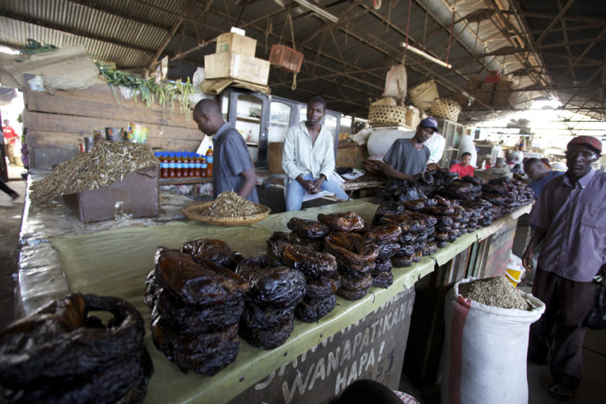 Tregde-og-Engelstad-2011-4-860x573