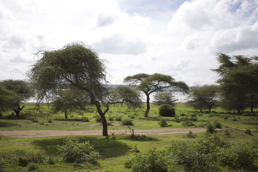 Tregde-og-Engelstad-2011-9-860x573